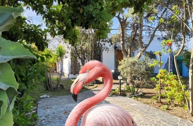 Right in the Molentargius Nature Park, a stone's throw from the sea and the town