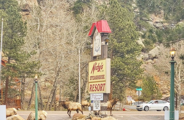 Riverfront Motel w/Pool, Views 106
