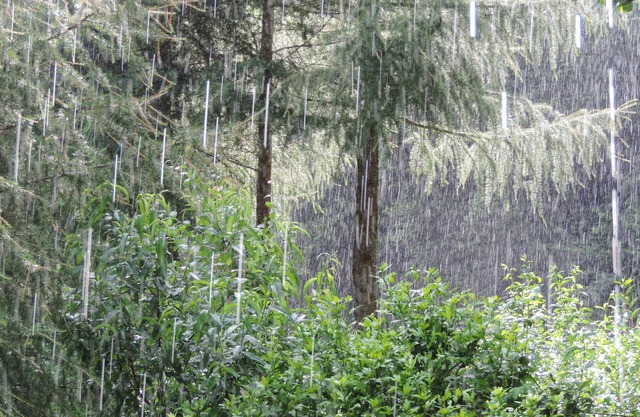 Rooms and guest table mountain