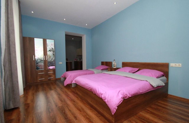 Rose apartment in Tbilisi(+transfer +tours)