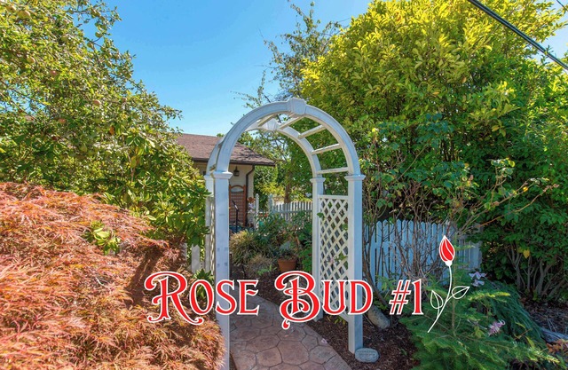 Rose Bud #1 Bedroom Suite in the Heart of the City