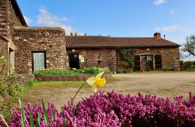 Rustic 18th Century Stone Cottage with Eco-Friendly Restorations, Terrace, and Playground
