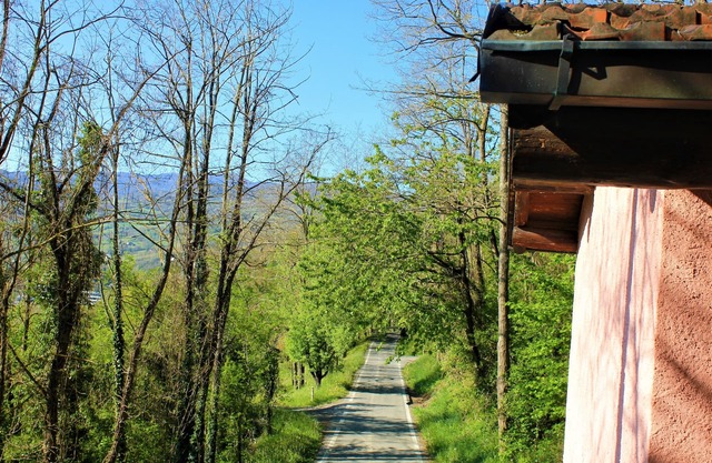 Rustic Borgo val di Taro Studio w/Private Terrace