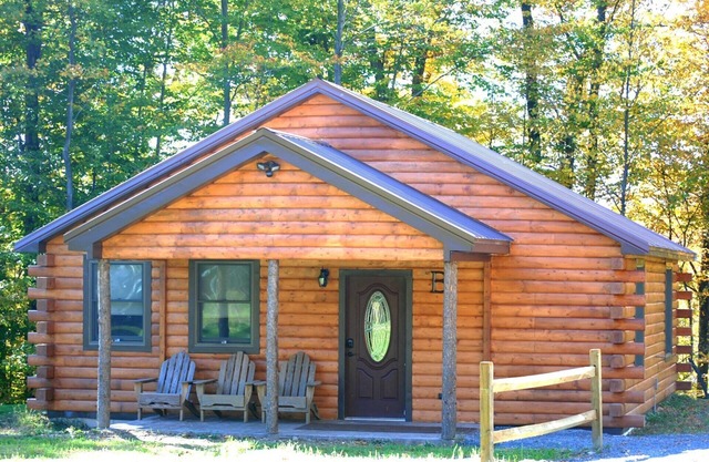Rustic yet Modern Log Cabin, Cayuga Wine Trail, Dog Friendly, Open Year Round