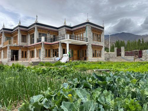 Saboo Eco Retreat