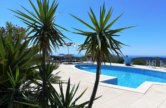 Saha tourist accommodation among olive trees and sea view