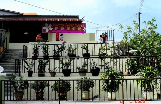 Sakura Guest House