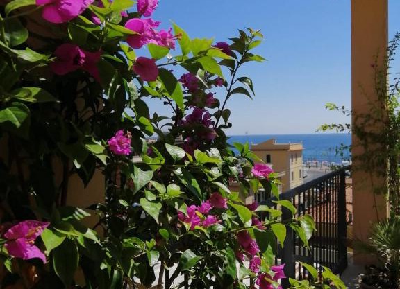 Sea view Penthouse with beautiful Terrace - Casa Verdi Jayanti