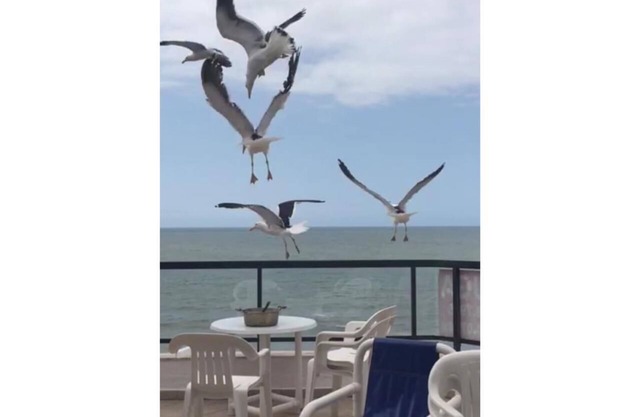 Seafront Penthouse 04 Bedrooms Pool Table Gourmet Area Seafront Terrace