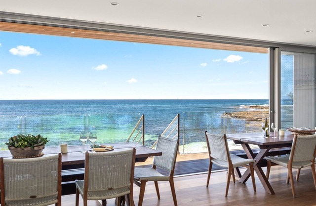 Seagull - Beach front in Mollymook,