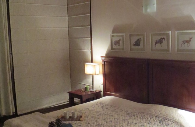 Seclude Kasauli- Starry Starry Nights