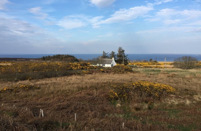 Secluded cottage with sea view