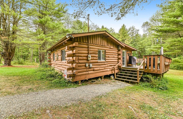 Secluded Dog-Friendly Studio w/Deck, Private Pond, Fireplace, Fast WiFi, Views