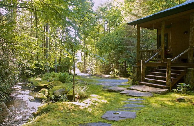 Secluded & Luxury 'Waterfall Cabin' Bordered By 8,000 Acre Forest, WiFi