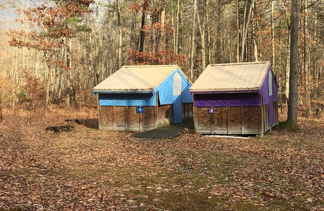 Serendipity - Primative, Rustic, Unique Tabins half hour from Penn State.