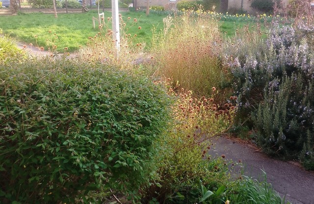 Serene Calm flat in a beautiful part of Cambridge UK. 1 dble Room 1 other guest.