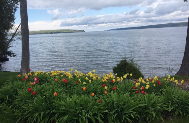 Serene Lake Superior Shoreline
