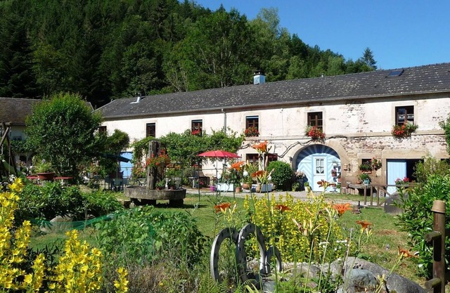 Serene Mill in Southern Vosges - Authentic and Modern Cottage
