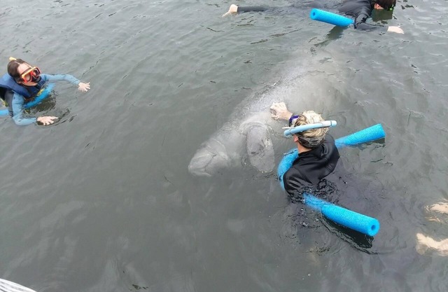 Serene setting with private dock on lake