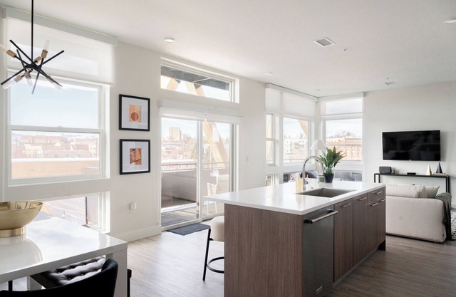 Serenity in Style | Espadin LoHi