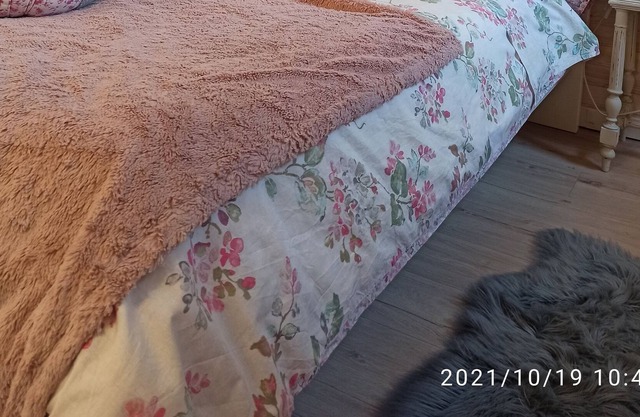 Shabby chic guest room