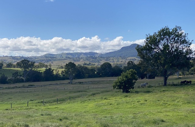 Shire horse and Clydesdale farmstay