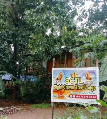 Sigiri Crown Tree Lodge