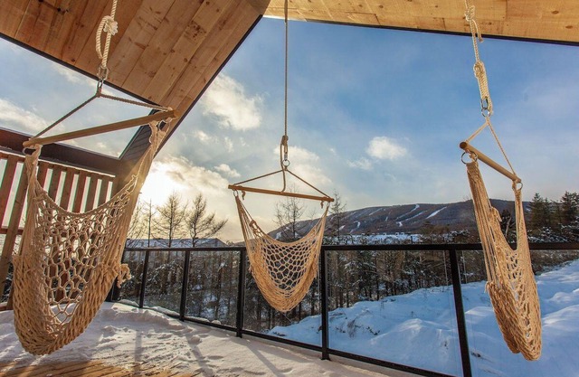 Silva - Modern Chalet for 12 people