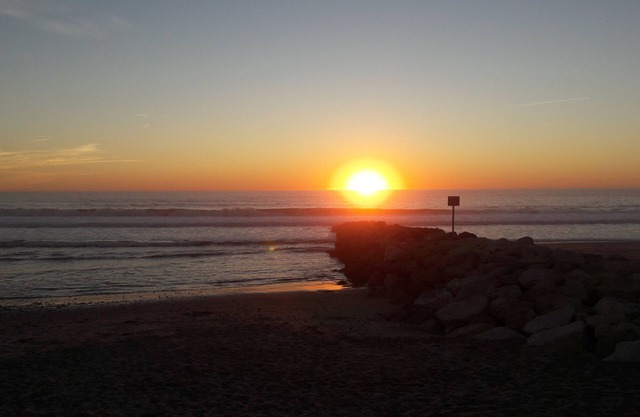 "Single Shelter" Villa