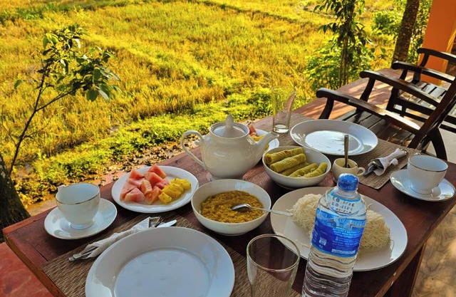 Sinharaja Serenity Retreat