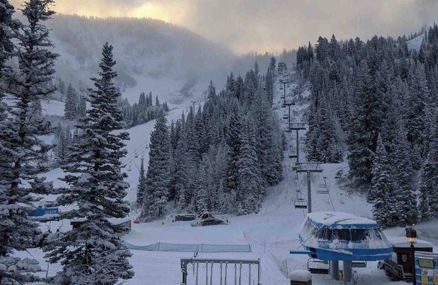 Ski-in-ski-out Snowbird, X-large studio, Alta, LCC Hot Tub, Heated Pool