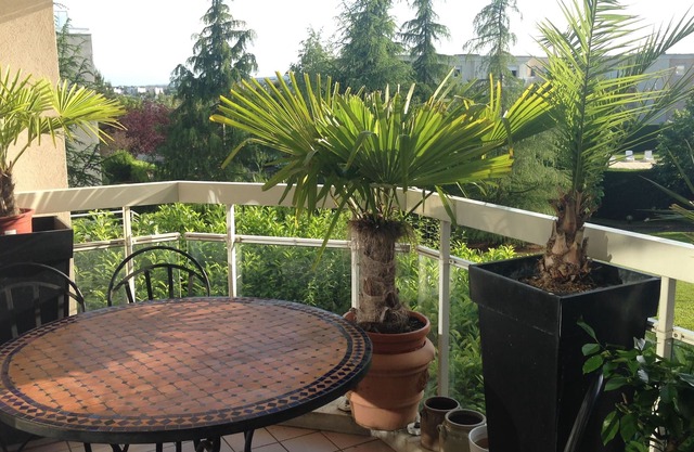 small paradise with terrace large swimming pool in peace 10 minutes from the historic center