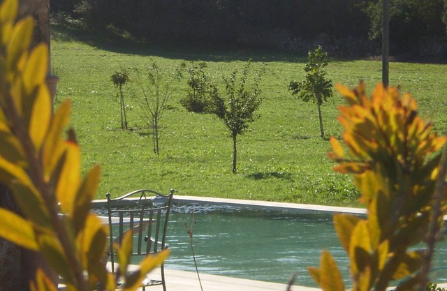 Small stone house with large pool in the middle of nature.