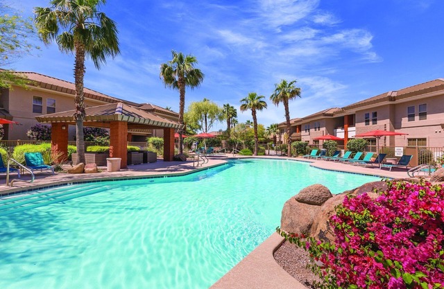 Sonoran Desert makes a perfect backdrop!
