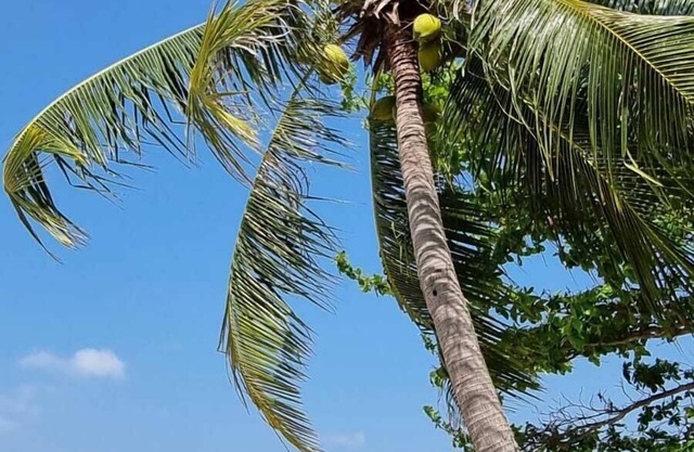 Soul Villas By The Beach - Phuket