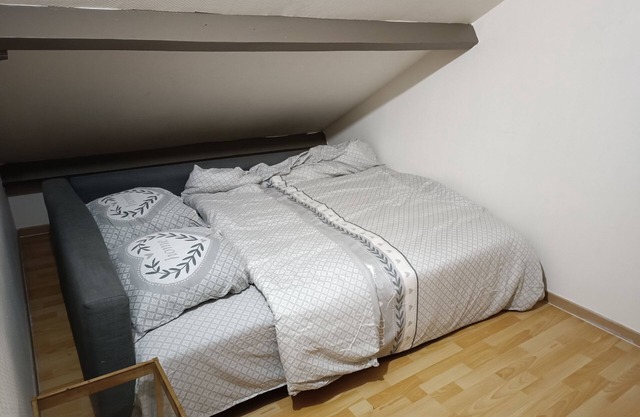 SPACIOUS HOUSE 10 MINUTES FROM ROISSY CHARLES DE GAULE AIRPORT