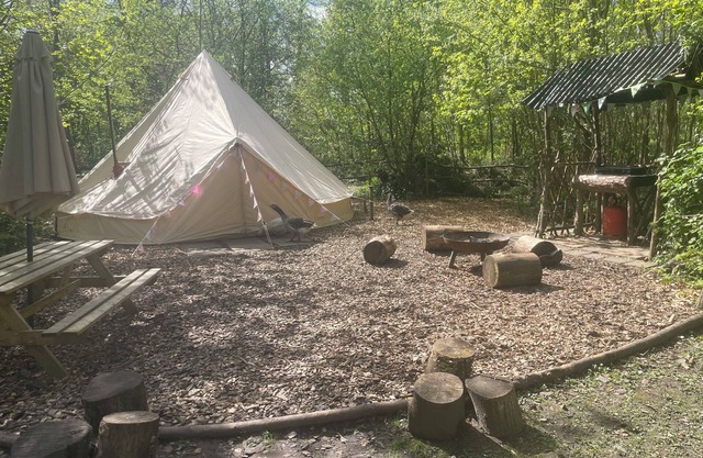 Spacious and cosy 6 meter themed Jungle Bell Tent