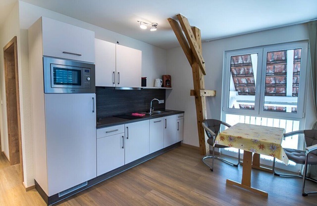 Spacious 2-room apartment directly on the lake with private lake access and lake property