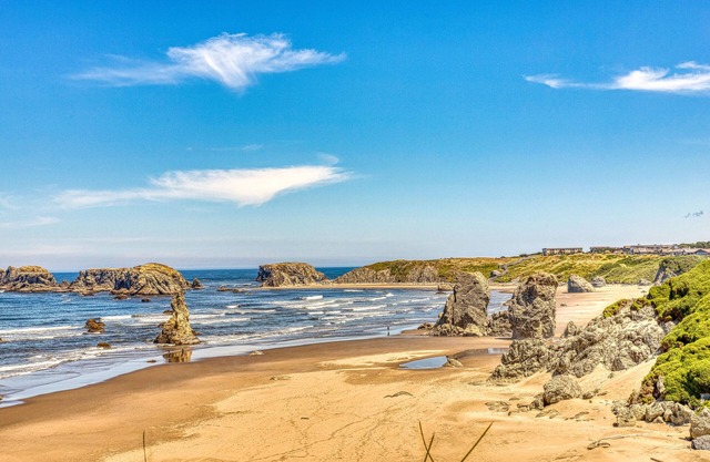 Spacious home only 1 block from beach & across the street from horseback riding