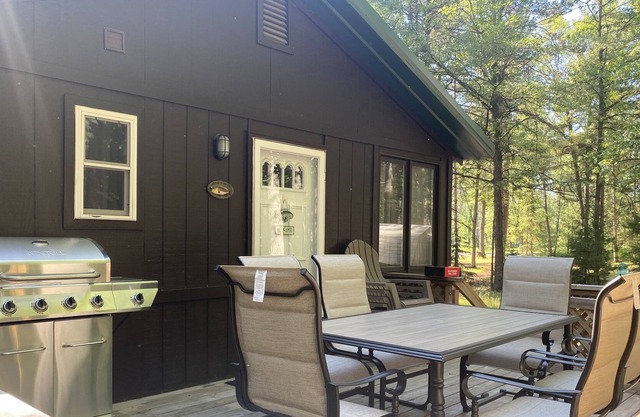 Spacious Peaceful 1 Bedroom cabin, wooded lot, Near Higgins Lake, new to VRBO.