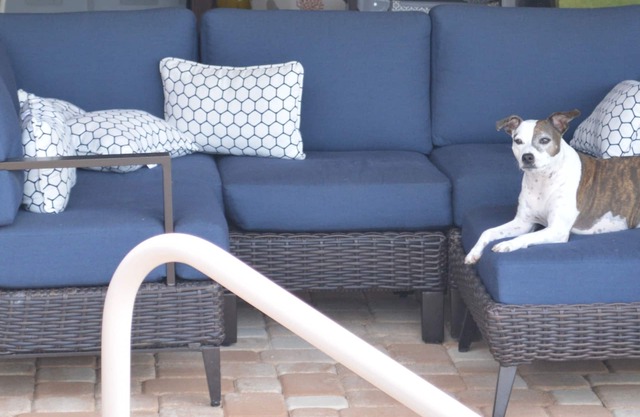 Spacious, remodeled, perfect for two family gatherings,