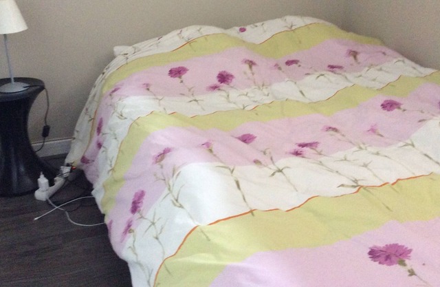 Spacious rooms at the inhabitant With large beds Very bright TV