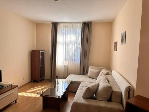 Spacious studio sleeps 4 in Flora main building 706A