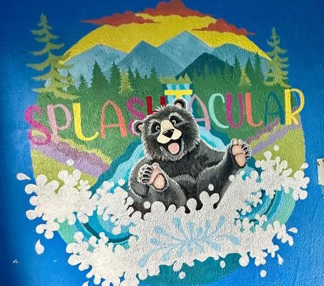 Splashtacular: Indoor Pool~Gorgeous Views~HotTub~GameRoom~Resort