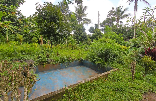 SPOT ON 92567 Jati Homestay Near Taman Suranadi