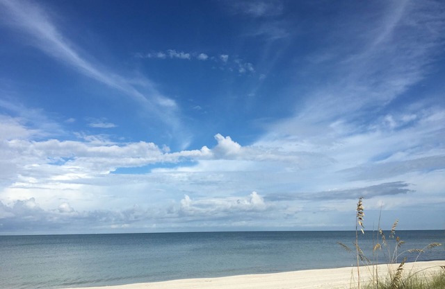 Spotless & Spacious! Walk to Delinor-Wiggins State Park/Vanderbilt Beach
