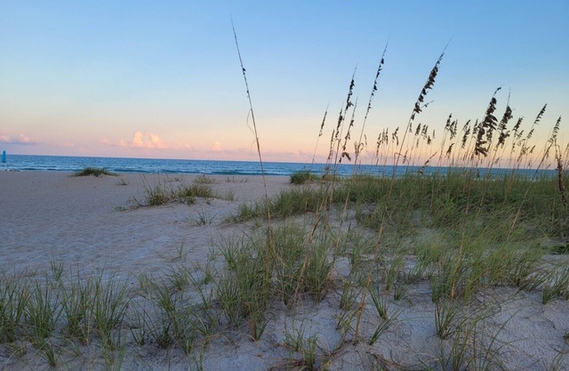 Starfish Studio, where you will be just across the street from the beach!