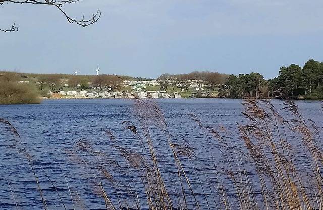 Static caravan to hire on edge of Galloway forest