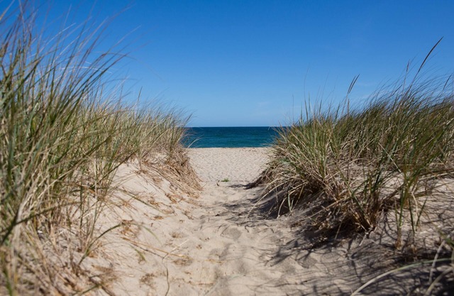 STEPS TO THE SAND AND PLAYGROUND IN SCONSET CODFISH PARK 15 BEACH ST