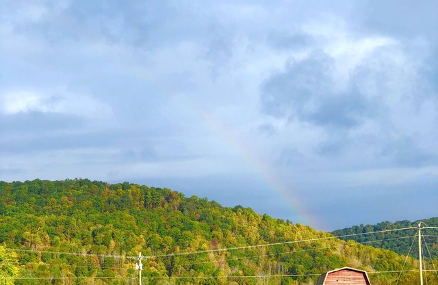 Stoney Creek Oasis Tent Sites and Glamping Yurts